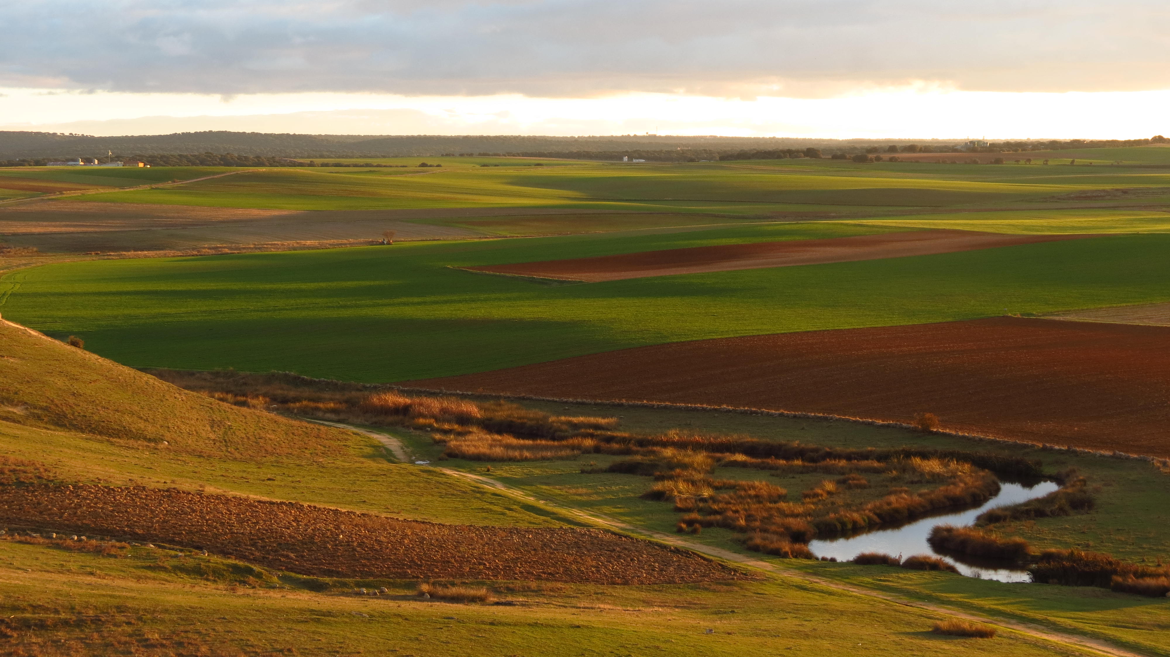 Paisaje 3